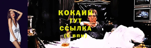 гидропоника Киреевск